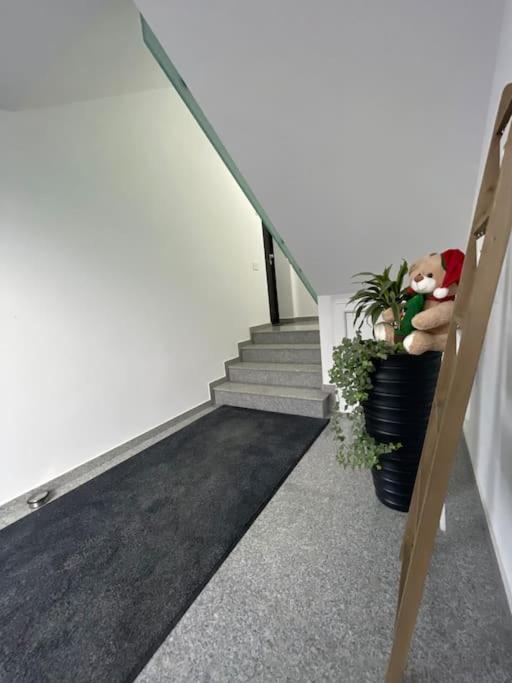 Apartament Timisoara 6 Timişoara Exterior foto